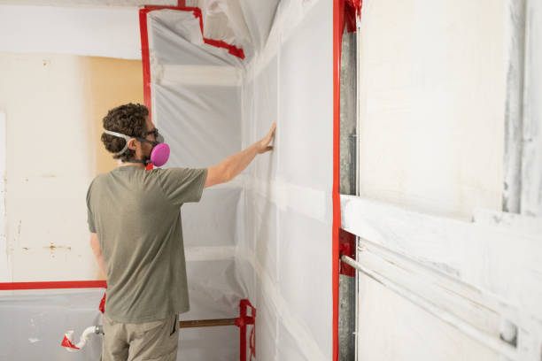 Mold Remediation for Vacation Homes in Franklin, KY