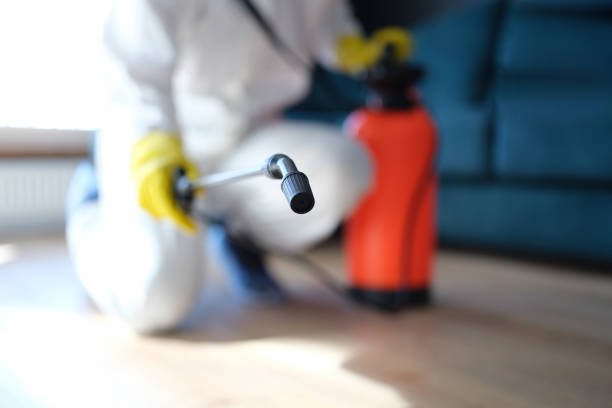 Trusted Franklin, KY Mold Removal Experts